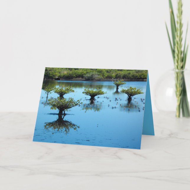 Salt Marsh with Mangroves Greeting Card (Front)
