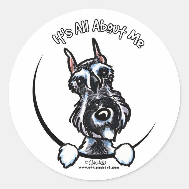 Salt Pepper Schnauzer IAAM Classic Round Sticker (Front)