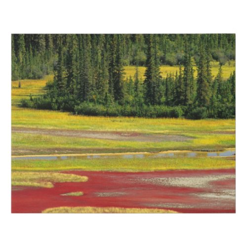 Salt Plain  Forest  Wood Buffalo National Park Faux Canvas Print