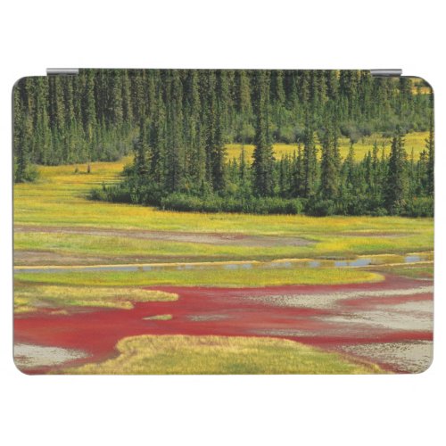 Salt Plain  Forest  Wood Buffalo National Park iPad Air Cover