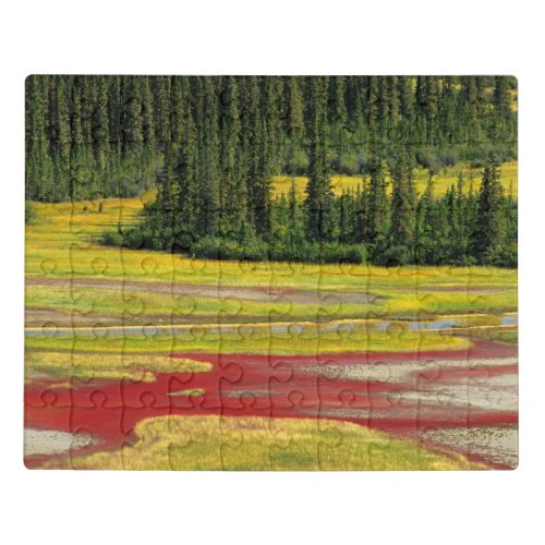 Salt Plain  Forest  Wood Buffalo National Park Jigsaw Puzzle