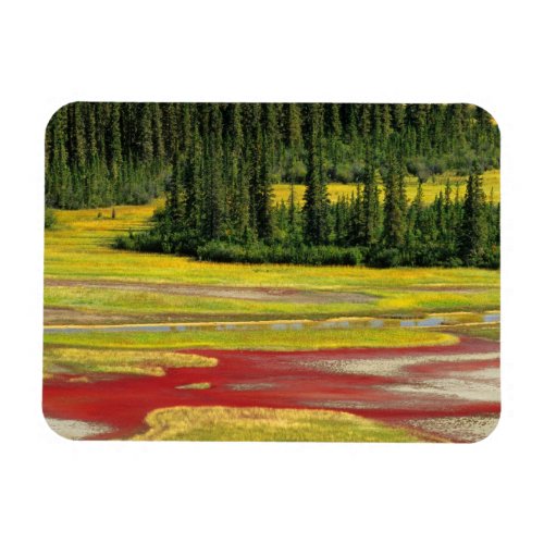 Salt Plain  Forest  Wood Buffalo National Park Magnet