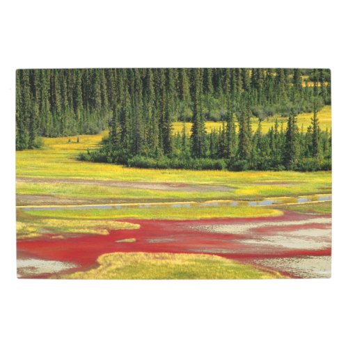 Salt Plain  Forest  Wood Buffalo National Park Metal Print