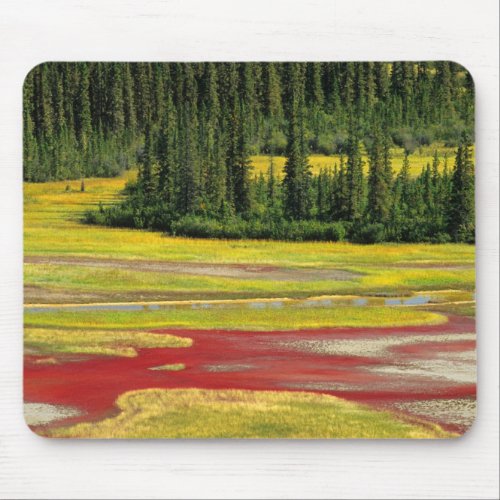 Salt Plain  Forest  Wood Buffalo National Park Mouse Pad