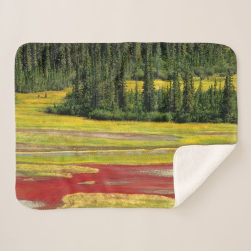 Salt Plain  Forest  Wood Buffalo National Park Sherpa Blanket