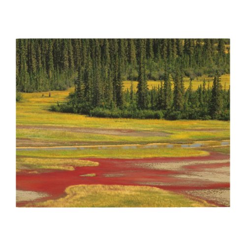 Salt Plain  Forest  Wood Buffalo National Park Wood Wall Art