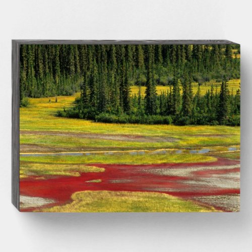 Salt Plain  Forest  Wood Buffalo National Park Wooden Box Sign