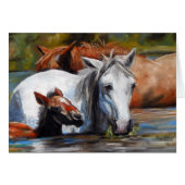 Salt River Foal (Front Horizontal)