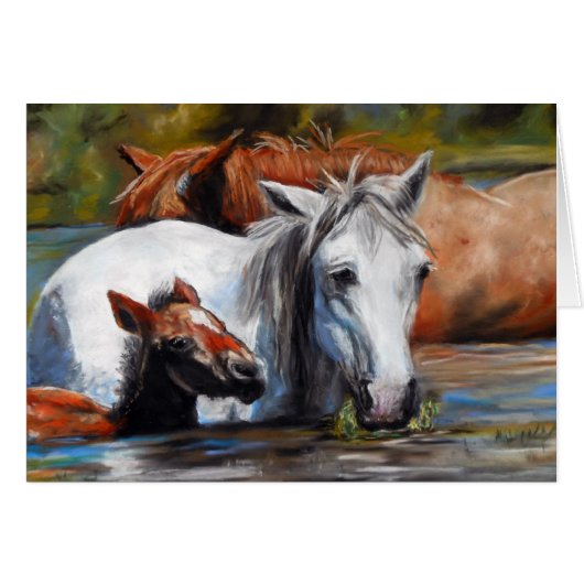 Salt River Foal Cards (Front Horizontal)