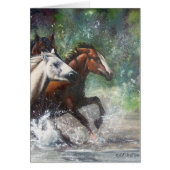 Salt River Wild Horses (Front)