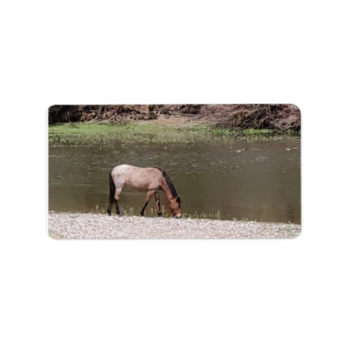 Salt River Wild Horses Collection Address Label