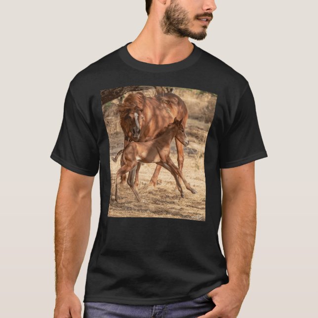 Salt River Wild Horses T-Shirt (Front)