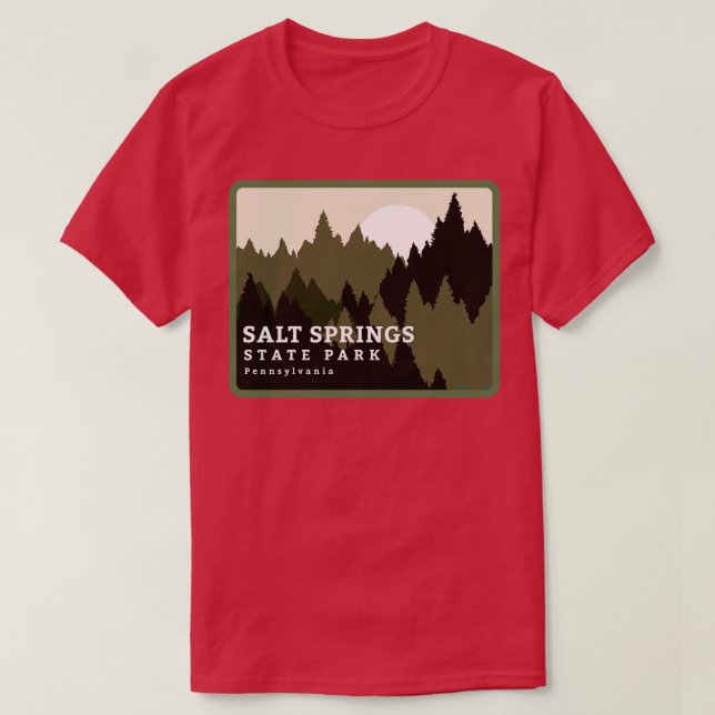 Salt Springs State Park Pennsylvania Forest Sunris T-Shirt (Design Front)