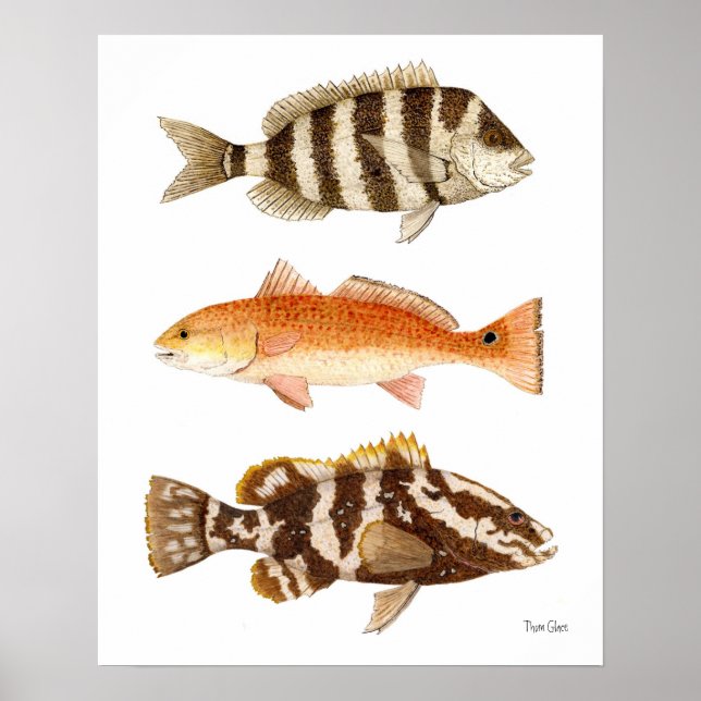Salt Water Game Fish Poster (Front)
