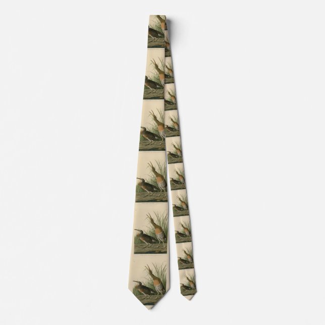 Salt Water Marsh Hen - Audubon's Birds of America Neck Tie (Front)