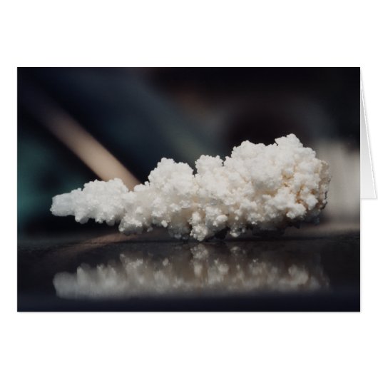Salt without pepper cards (Front Horizontal)