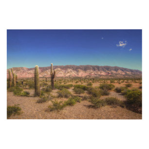 Salta Argentina Cactus Plants And Barren Hill Wood Wall Decor