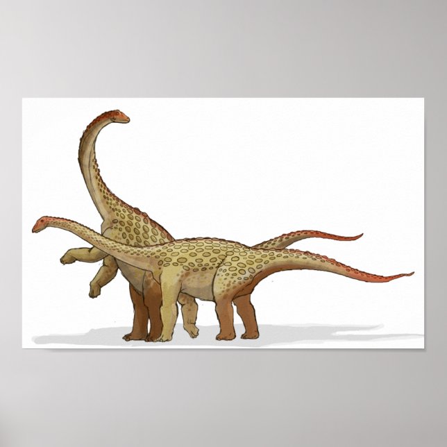 Saltasaurus - Cretaceous Dinosaur Portfolio Poster (Front)