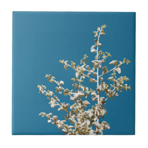 Saltbush Leaves Sky Frame Minimalistic Ceramic Tile