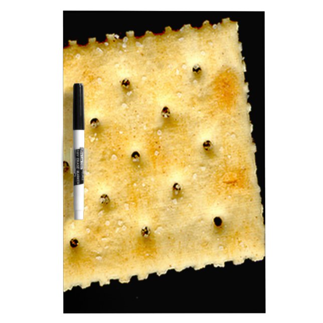saltine  erase board (Front)