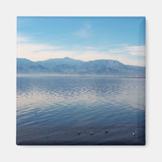 Salton Sea