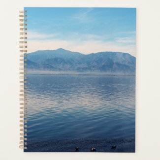 Salton Sea