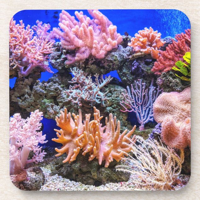 Saltwater Aquarium - Coral Reef Beverage Coaster (Front)