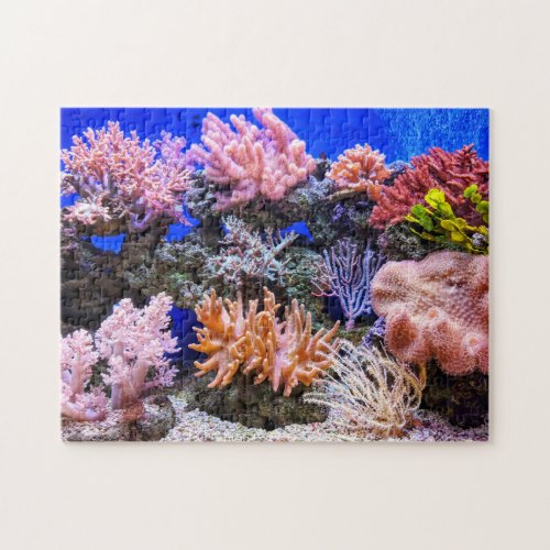 Saltwater Aquarium _ Coral Reef Jigsaw Puzzle