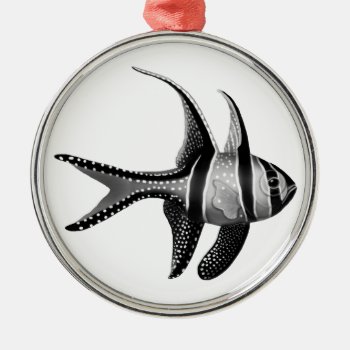 Saltwater Banggai Cardinalfish Ornament by ornamentation at Zazzle