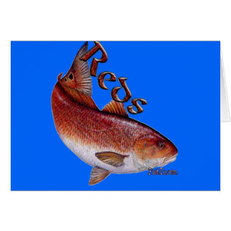 Saltwater Collection of Fish Cards