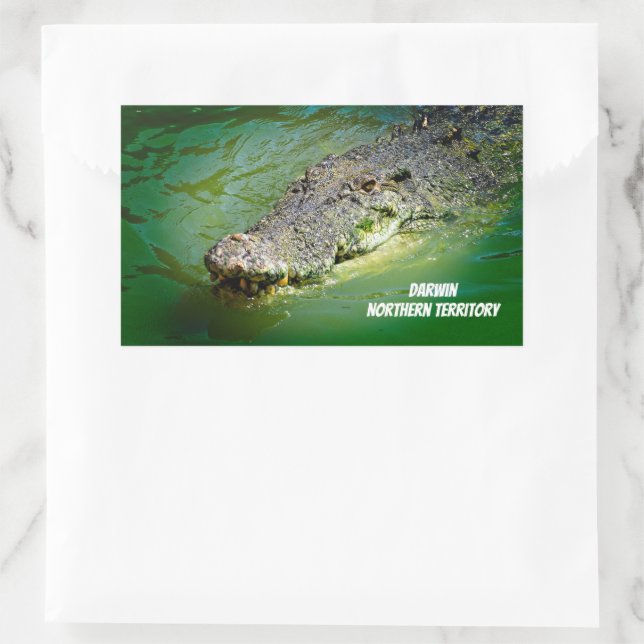 Saltwater Crocodile from Darwin Rectangular Sticker (Bag)