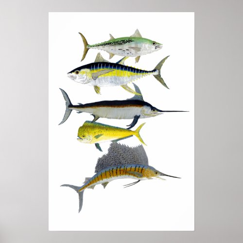 Saltwater Gamefish Art Poster