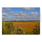 Saltwater Marsh Notecard (Front Horizontal)