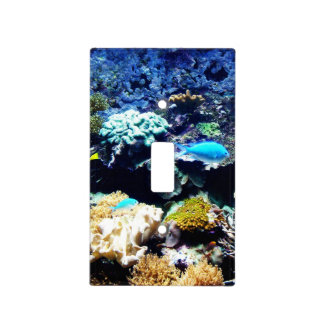 Saltwater tank 1 lightswitch cover