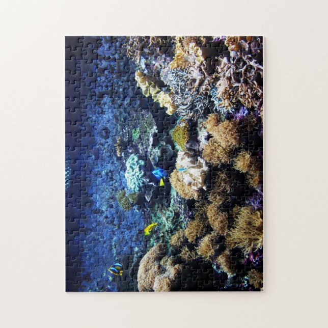 Saltwater tank 1 puzzle (Vertical)