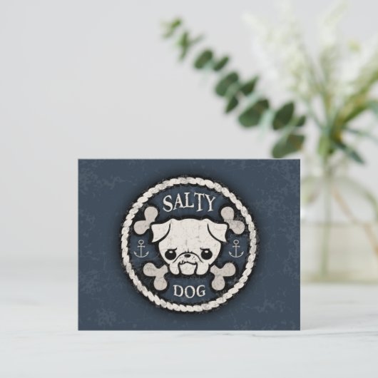 Salty Dog -bd (Standing Front)