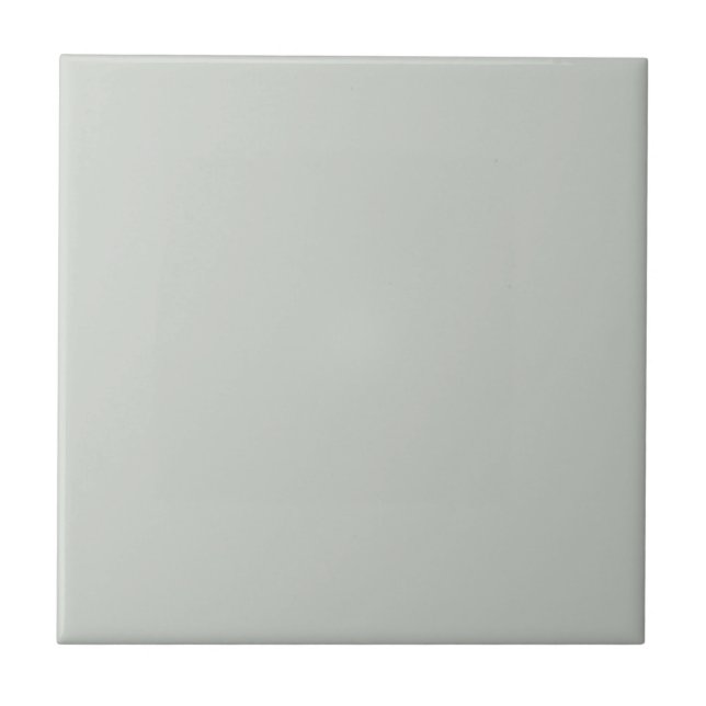 Salty Sea Green Kitchen and Bathroom Ceramic Tile (Front)