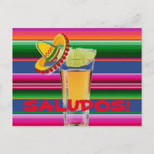 Saludos Postcard