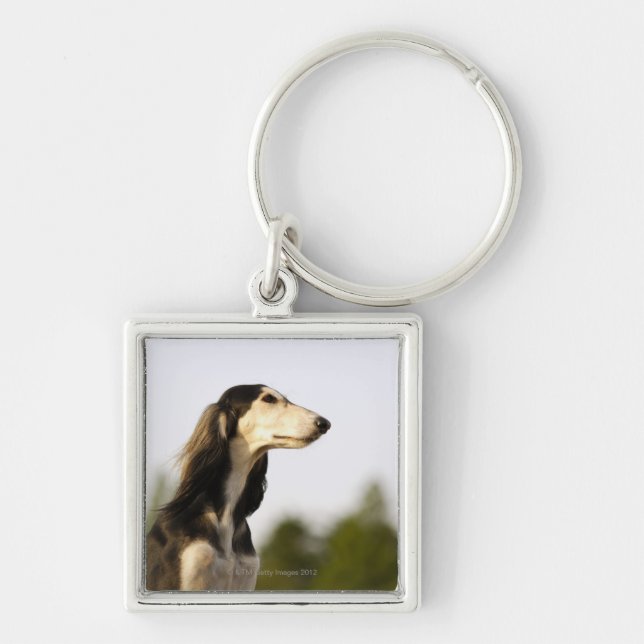 Saluki 2 keychain (Front)