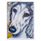 Saluki