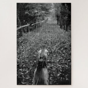 Saluki dog in the woods jigsaw puzzle