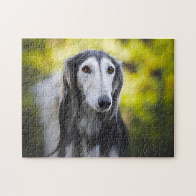 Saluki Dog Jigsaws. Jigsaw Puzzle (Horizontal)