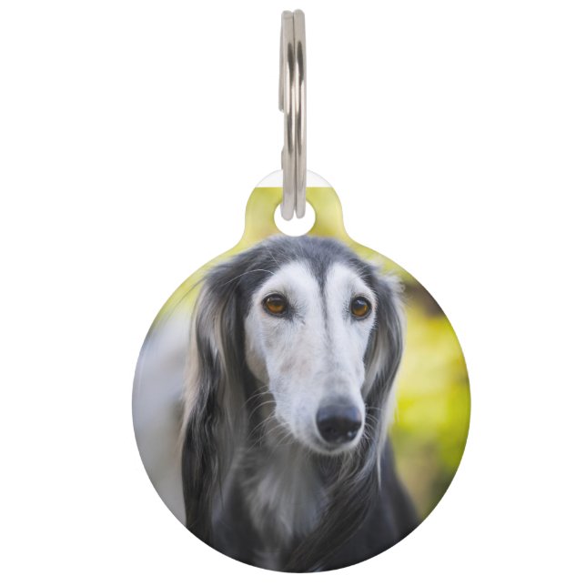 Saluki Dog Pet ID Tag (Front)