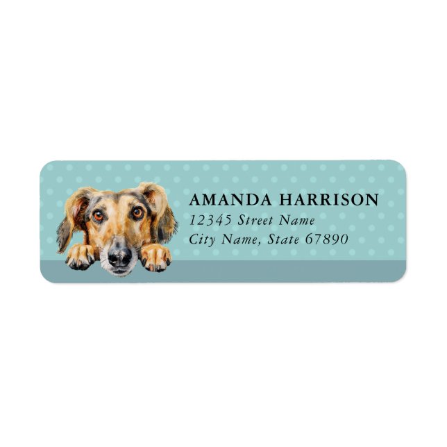 Saluki Dog Return Address Labels (Front)