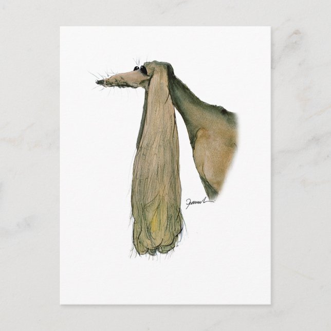 saluki dog, tony fernandes postcard (Front)