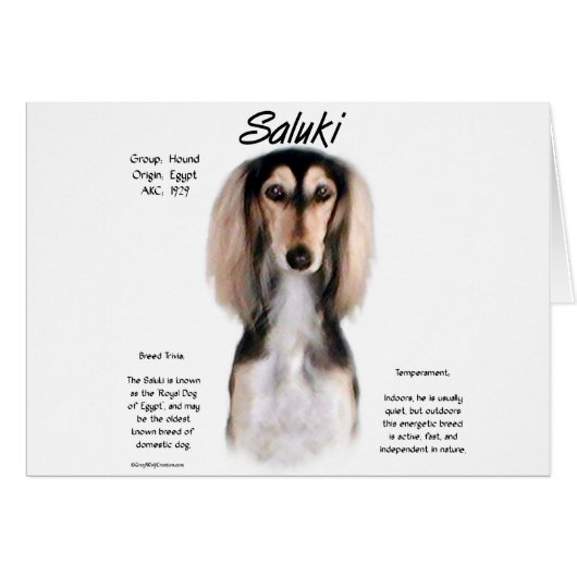 Saluki History Design Cards (Front Horizontal)