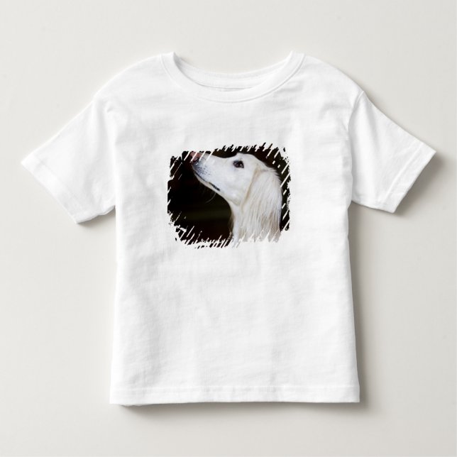 Saluki Looking Up Toddler T-shirt (Front)