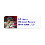 Saluki  Mailing Labels
