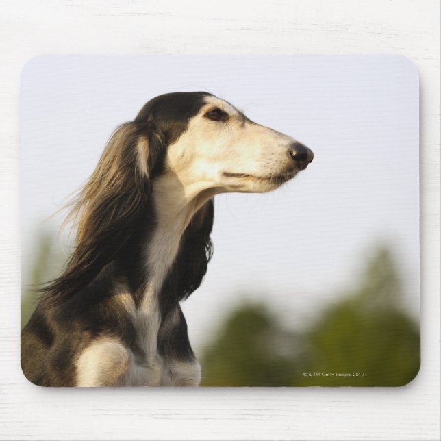 Saluki Mouse Pad (Front)
