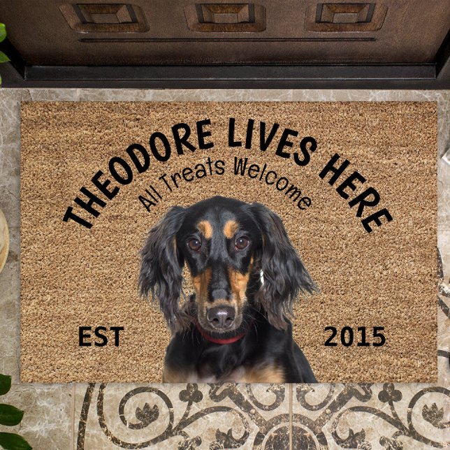 Saluki Personalized Dog Lover Doormat (Creator Uploaded)
